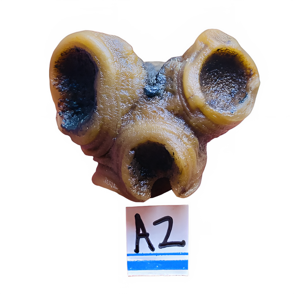 7fcdb42e-fc00-4651-99d7-9cfb4fe3da56