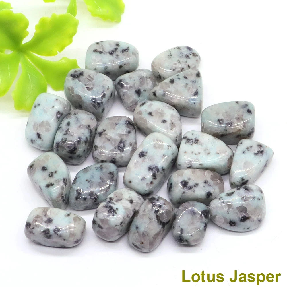 S03f2f3e5a4f946de8723adc2ec9c3c2bC