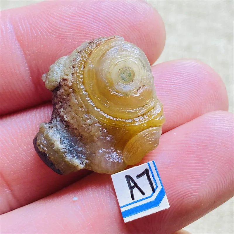 S05e77c3ba4d5412596fae514933b80c9Z