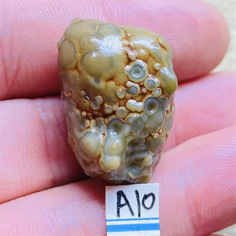 S0b140c704efc4a188fa68f1c56c77a44J