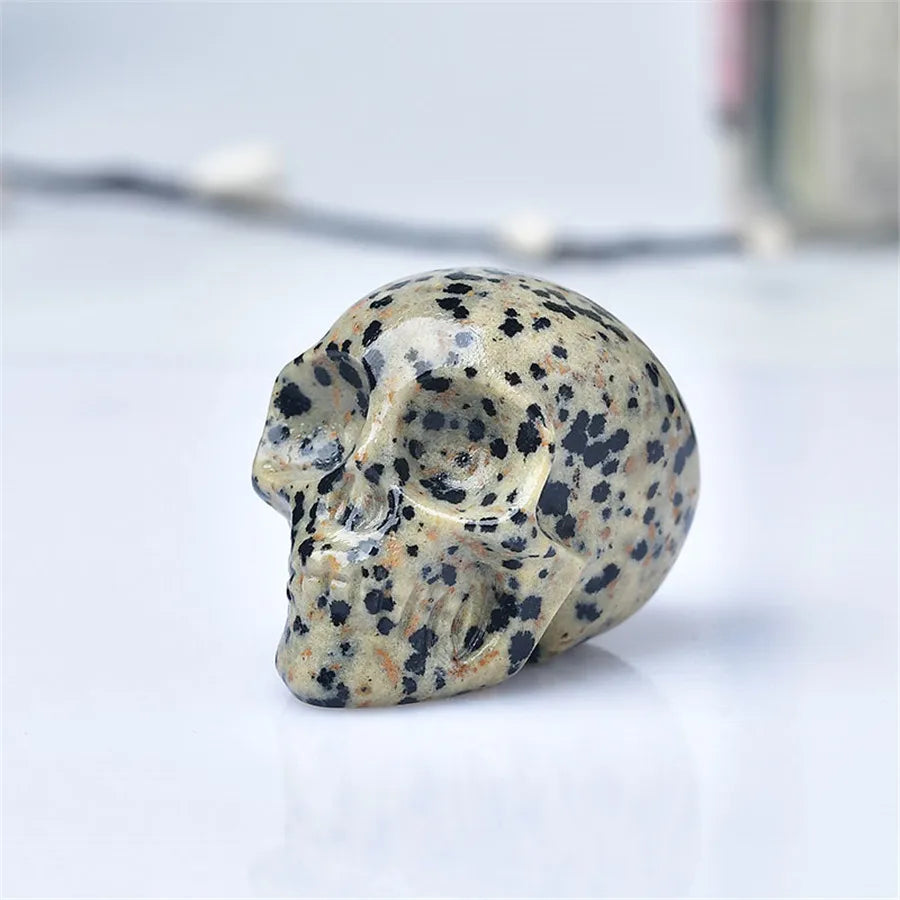 S25c376cb1c9f475dabc16ca1dc2a8e0ci