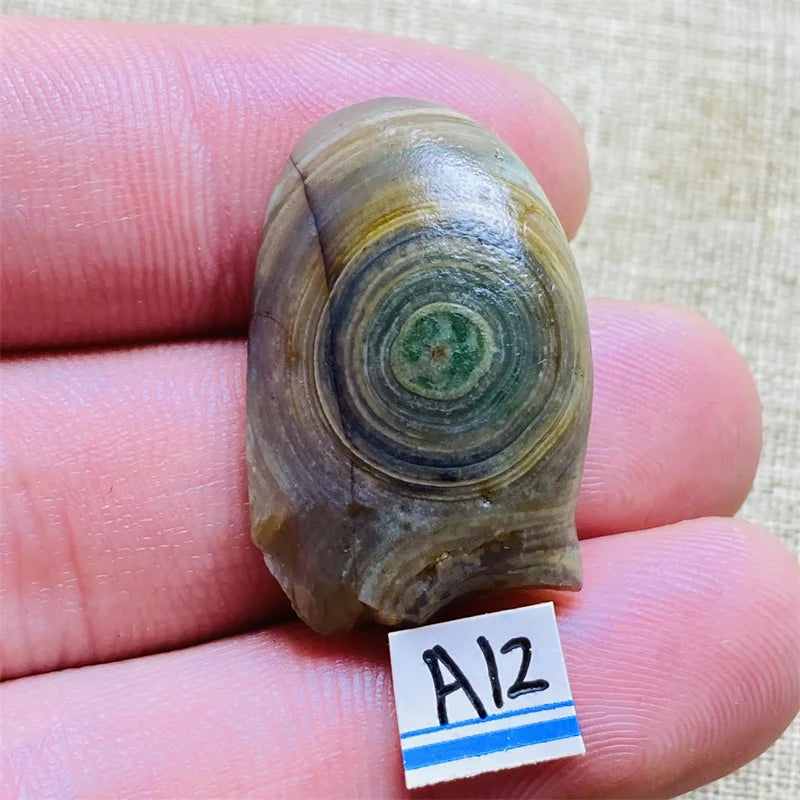 S2614bde1d9b24ab8aca69b87207b4a954