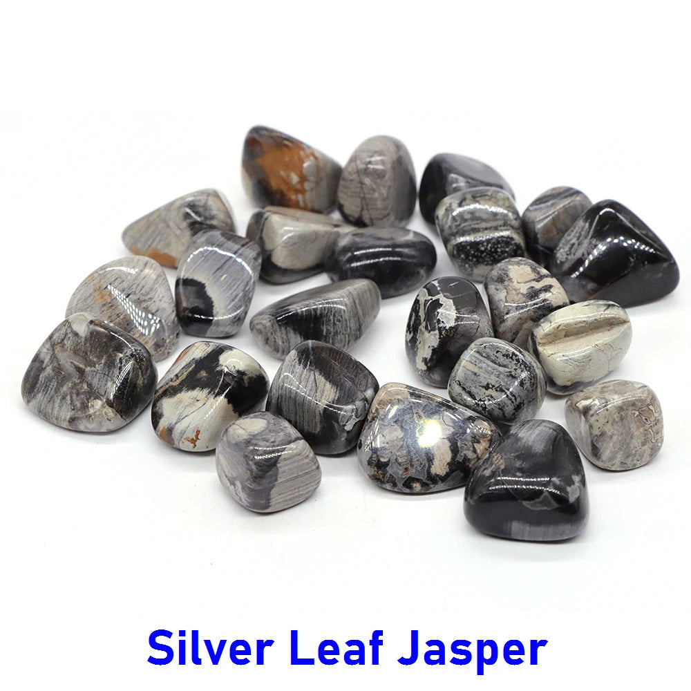 S5bbd78dddf8948c985ac729fa3ffc065e