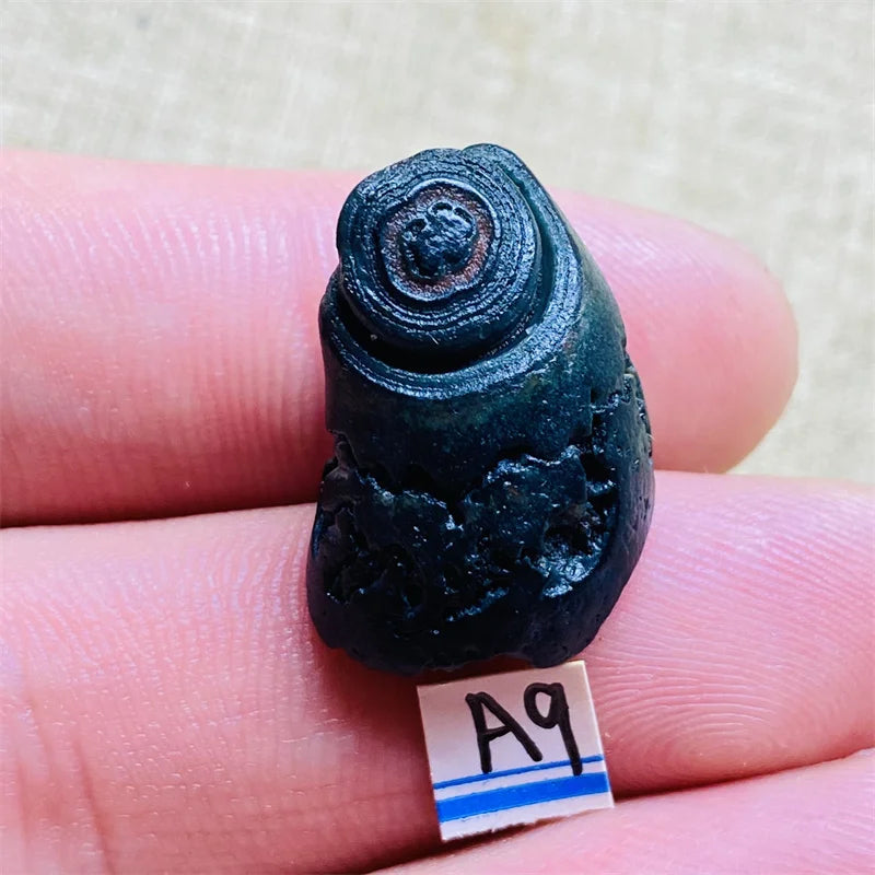 S6d8806ffff334fc1b5eb49604f0c5a5f5