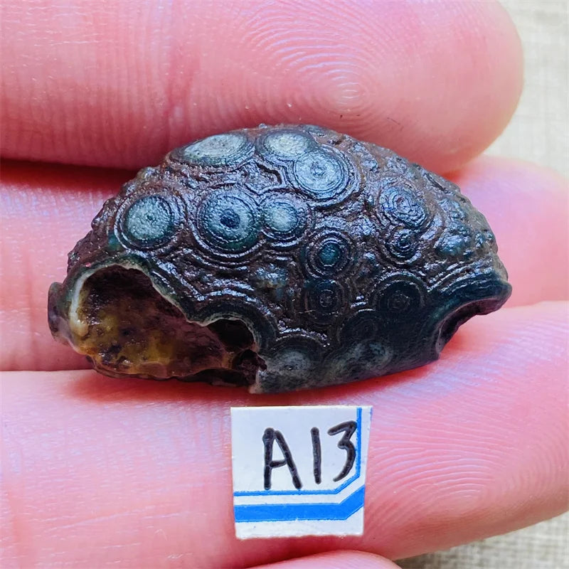 S930f394aaf024234b84506b42135a614h