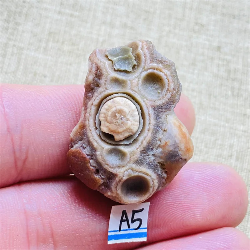 Sa0efad86bba4499e88812673292d43e3N