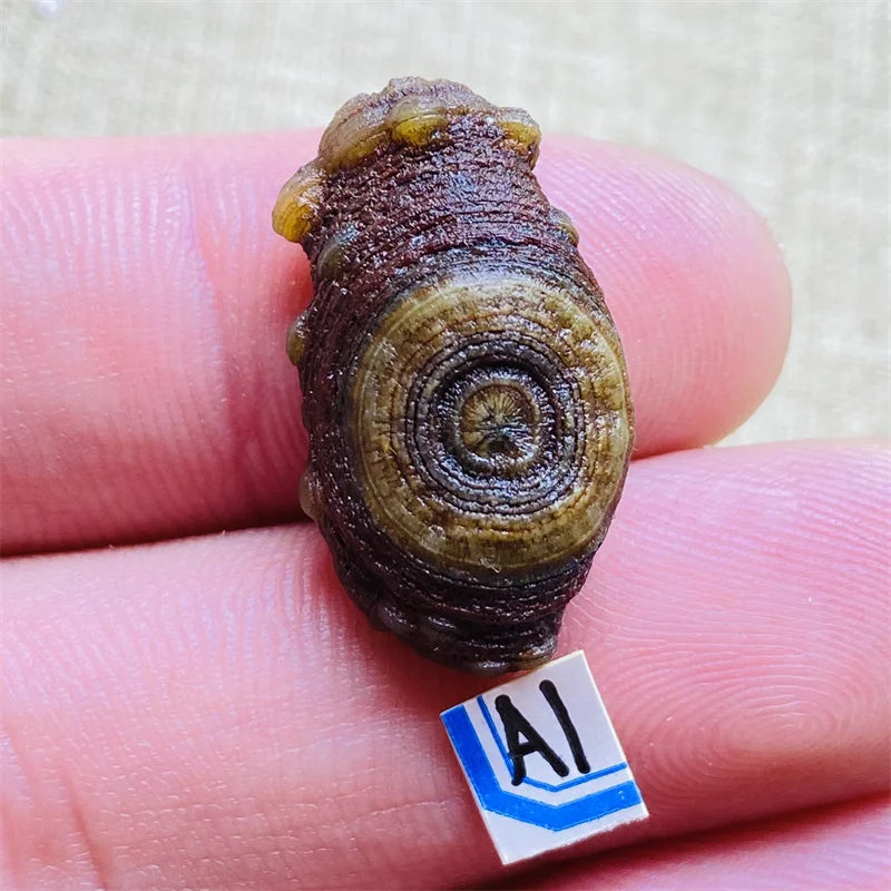 Sb9268539f6c94e59abaa35843c479b41G