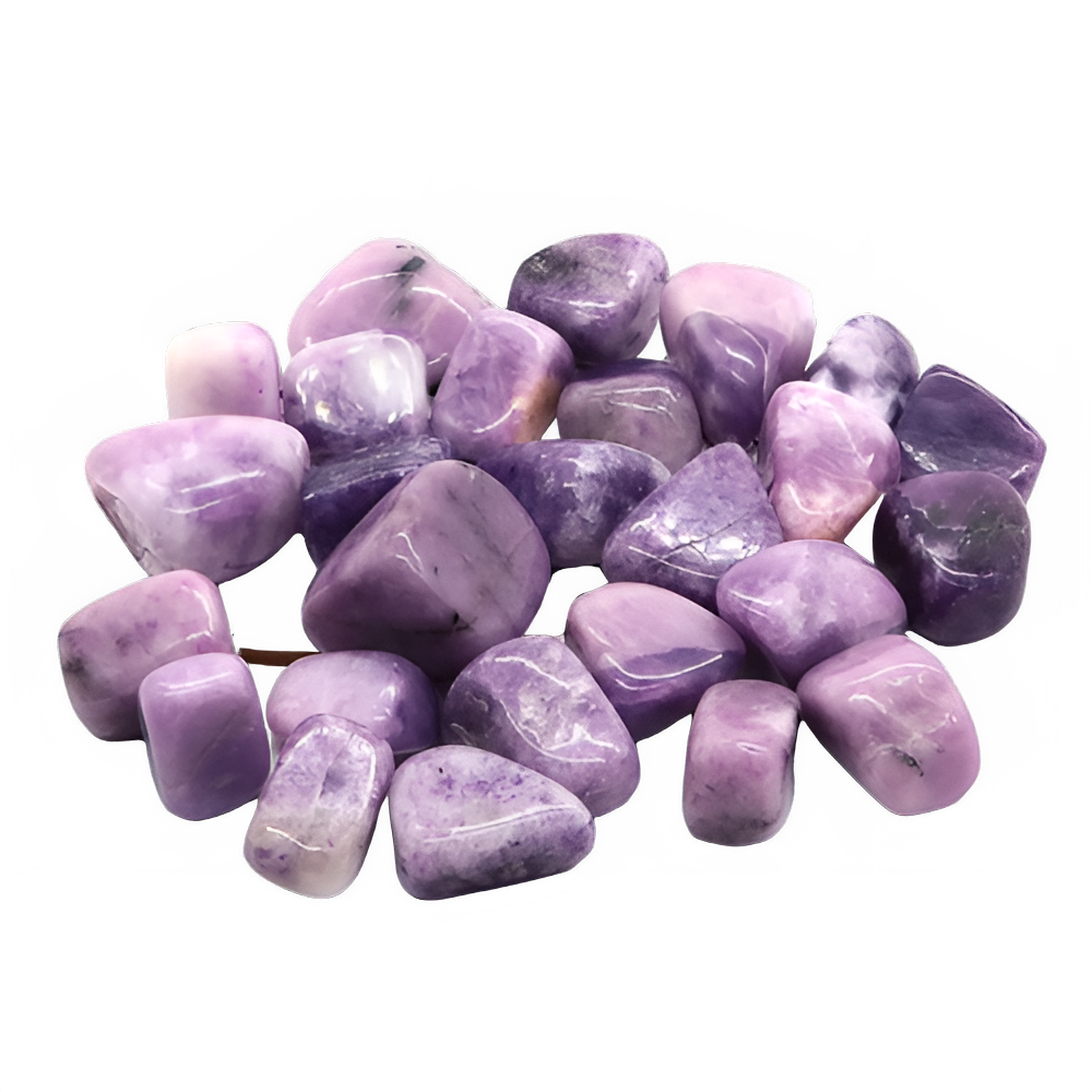 b79d6842-61be-4b7f-8f15-86a52e855588