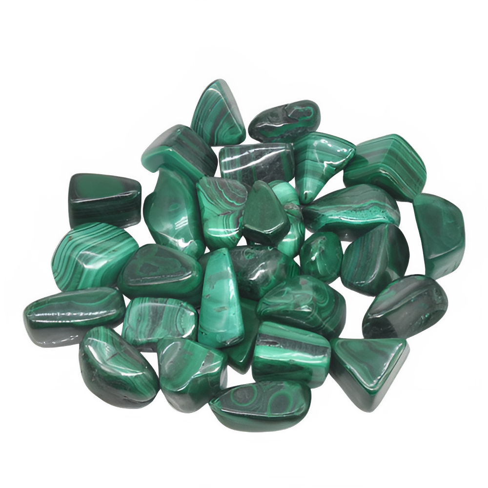 ea663069-4fa2-4c0b-8e53-7c1bba8e410c